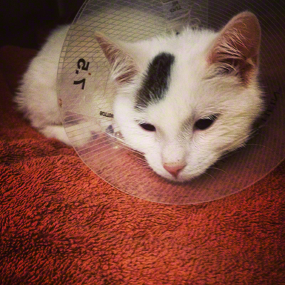 Sad after surgery